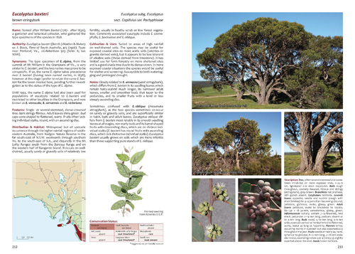 Eucalyptus baxteri sample page